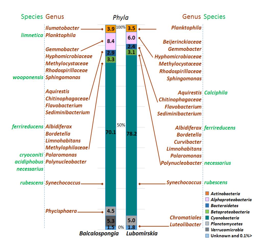 Relative abundance of bacterial communities of Baikalian sponges by pyrosequencing analysis