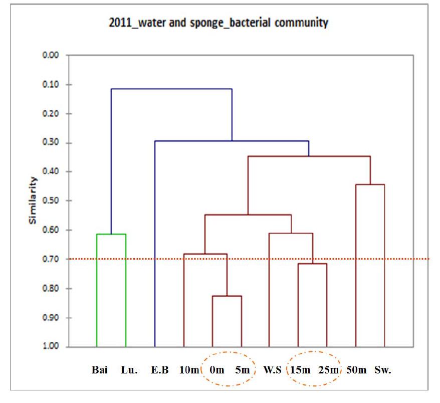 Similarity dendrogram of bacterial community calculated from DGGE band patterns on 2011_lake water and sponges samples (E.W; Lake water at eastern Lake Baikal, S.W; water nearby sponge, Lu.