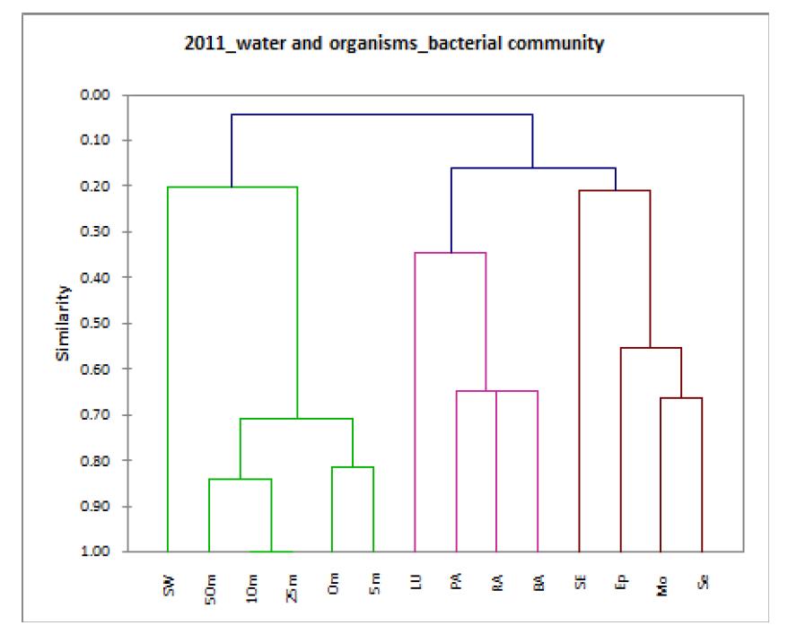 Similarity dendrogram of bacterial community calculated from DGGE band patterns on 2011_lake water and aquatic organisms