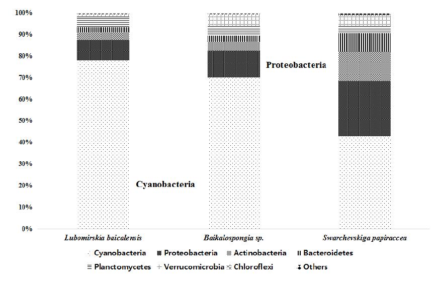 Classification of bacteria in sponges at phylum level