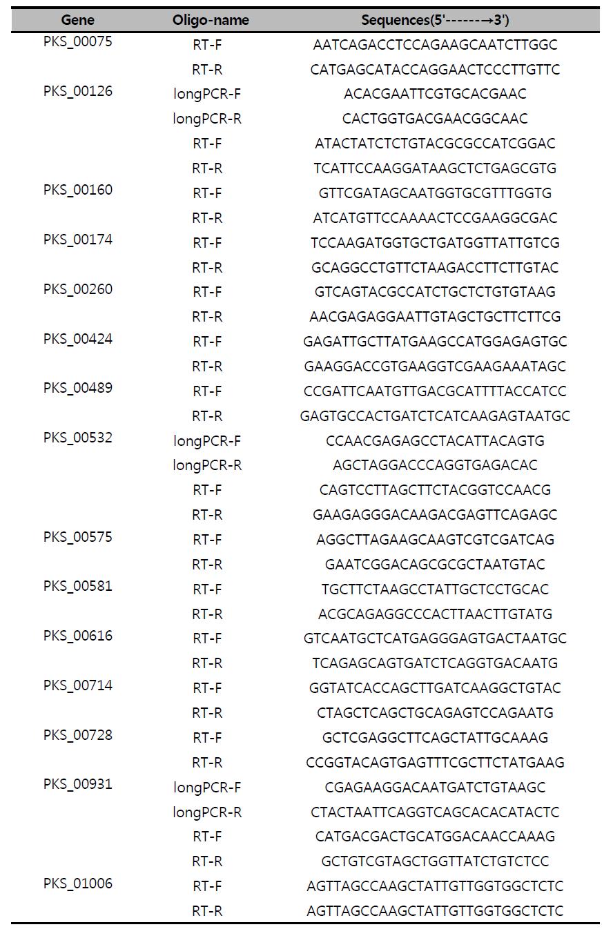 Primer sequences used for PKS-qRT primer