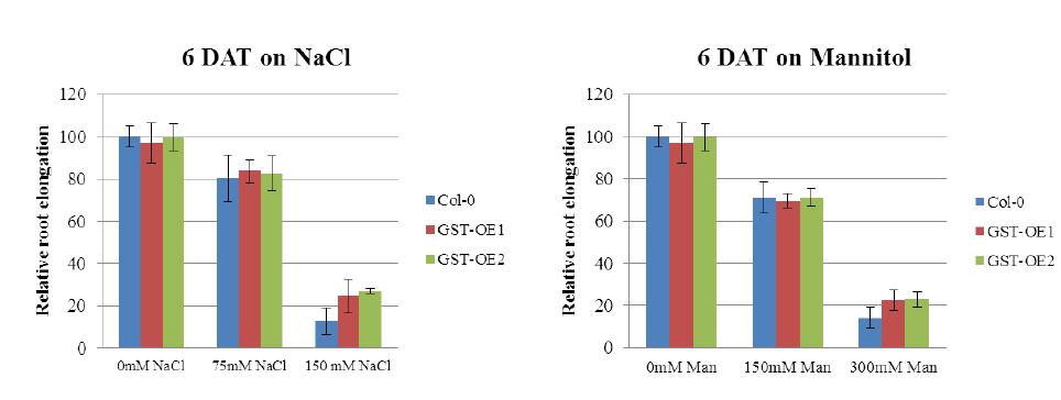 Germination phenotype of 35S::PaGST transgenic plants under salt or osmotic stress