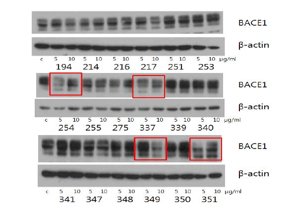 Regulation of BACE1 expression level of the natural active substances (194～351) from polar region