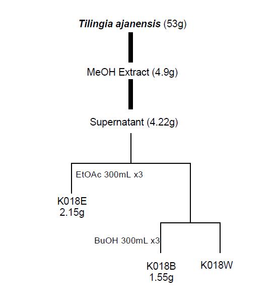 Separation of active substances from Tilingia ajanensis (K018) sampled in Kamchatka
