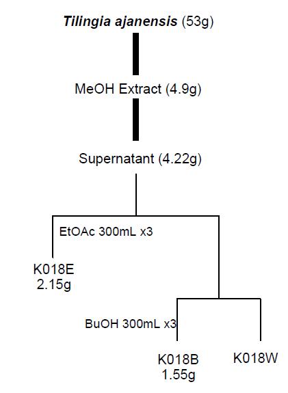 Separation of active substances from Phyllodoce caerulea (K022) sampled in Kamchatka