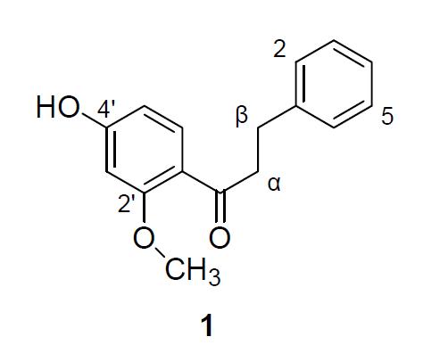 Identification of V013EN-4-1 structure