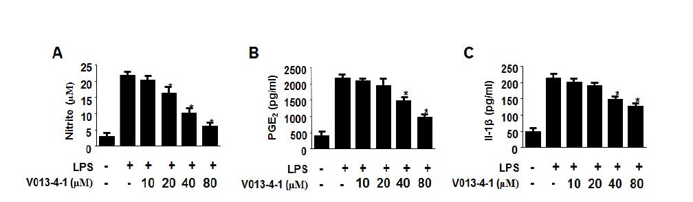 The effects of compound 1 on nitrite (A), PGE2 (B), IL-1β (C) production in BV2 microglia cells stimulated with LPS.