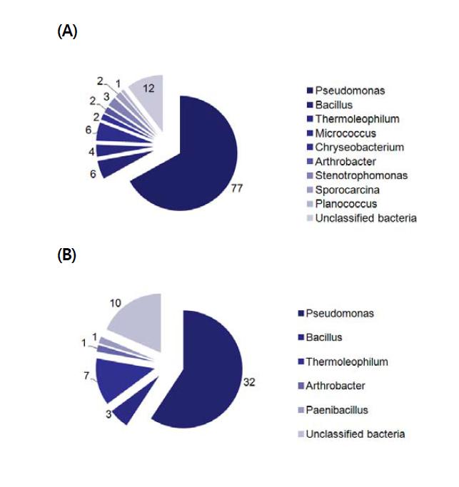 Identification and distribution analysis of caseinase (A) and keratinase (B)-producing bacteria