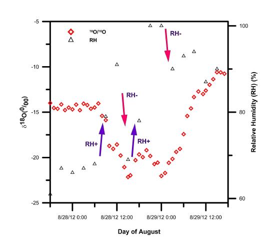 Isotopic composition of water vapor related to relative humidity