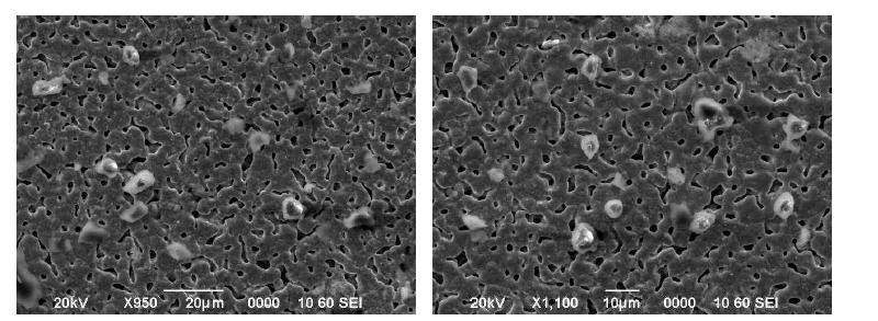 Secondary electron images of standard mineral particles collected on Ag porous filter