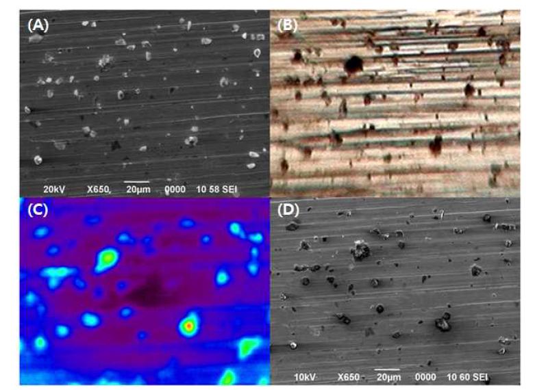 (A) Secondary electron image (SEI) before ATR-FTIR imaging measurement, (B) visible light optical image, (C) ATR-FTIR image, and (D) SEI after ATR-FTIR imaging measurement of the ice core sample 1 on Ag foil