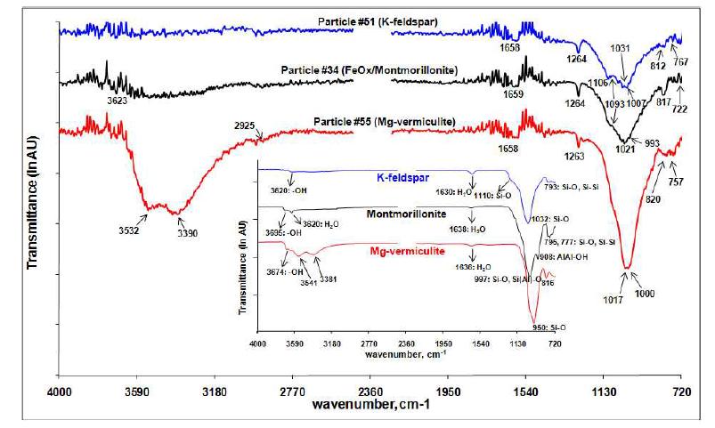 ATR-FTIR spectra of K-feldspar, FeOx (montmorillonite), and Mg-vermiculite