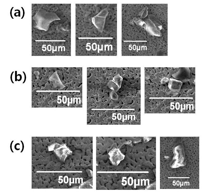 Typical SE images of tephra in ice core