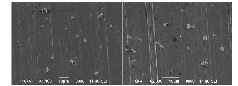 Secondary electron images of standard mineral particles collected on Ag foil using vacuum freeze dryer