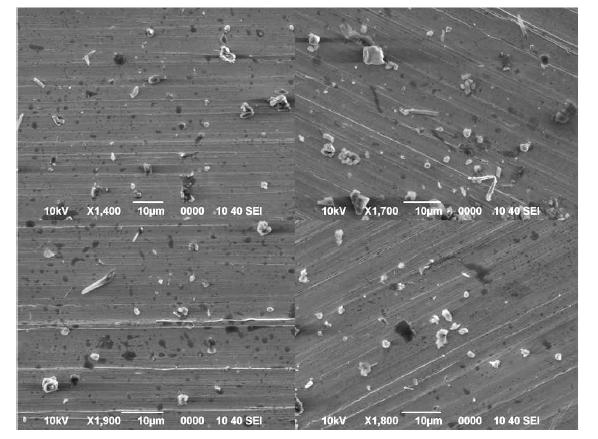 Secondary electron images of snow pit sample # 3