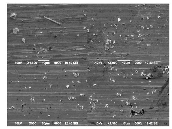 Secondary electron images of snow pit sample # 10