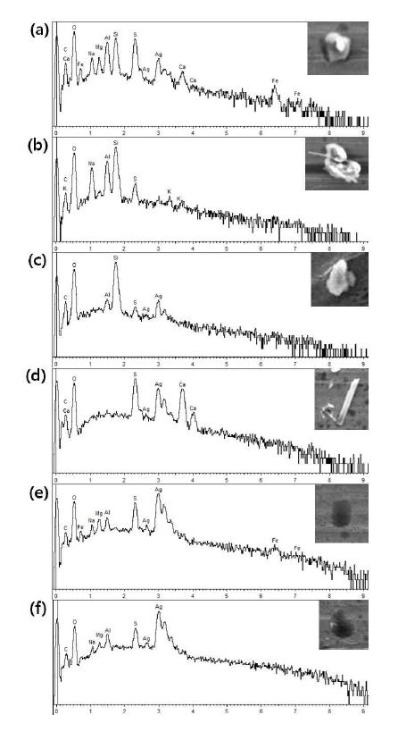 X-ray spectra of (a) sulfur-containing aluminosilicate, (b) sulfur-containing Na-feldspar, (c) sulfur-containing SiO2, (d) CaSO4, (e), and (f) sulfur-containing organic