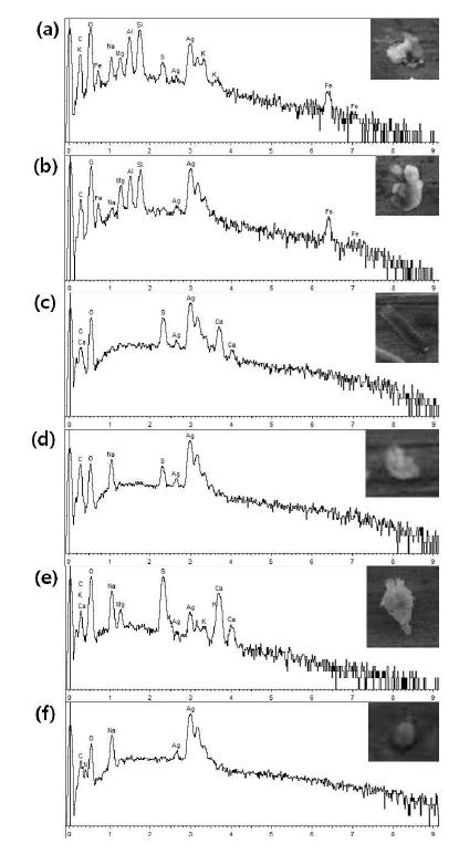 X-ray spectra of (a) sulfur-containing aluminosilicate, (b) aluminosilicate, (c) CaSO4 (d) NaSO4, (e) (Na, Mg, K, Ca)SO4, (f) NaNO3