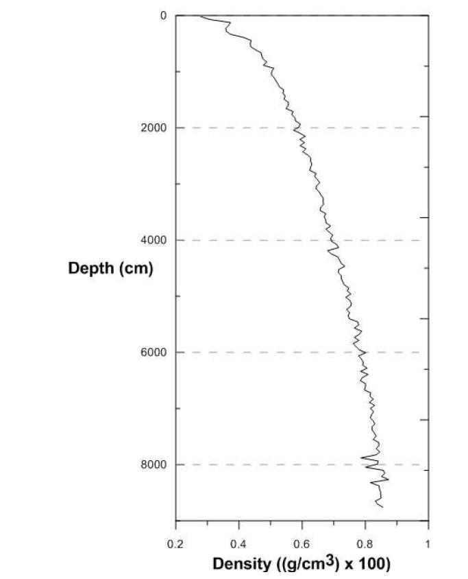 Neem firn core density profile