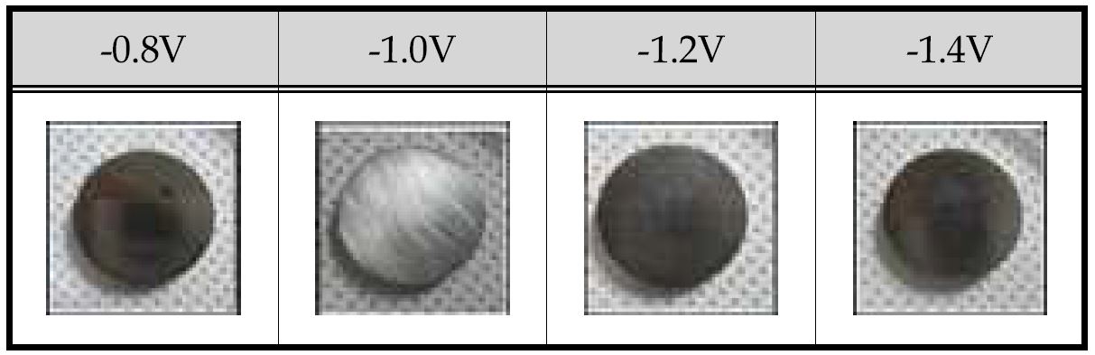 그림 40. 정전위 실험 후 시편 사진
