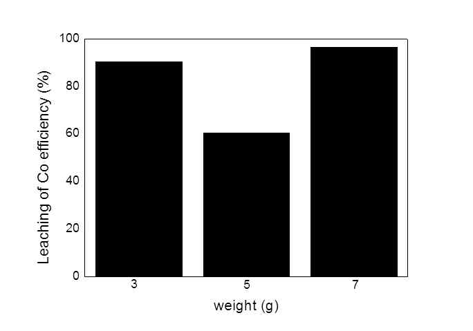 그림 51. 시편 무게에 따른 Co 침출효율