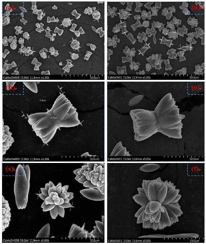 Fig. 71. SEM images of CaMoO4 products obtained by using CaCl2 solutions