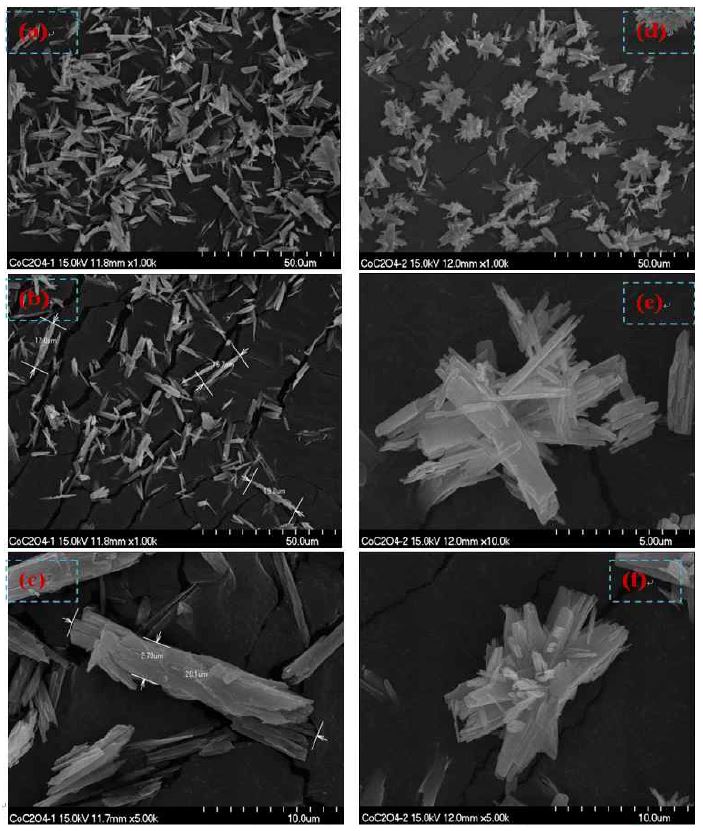 Fig. 73. SEM images of CoC2O4 products