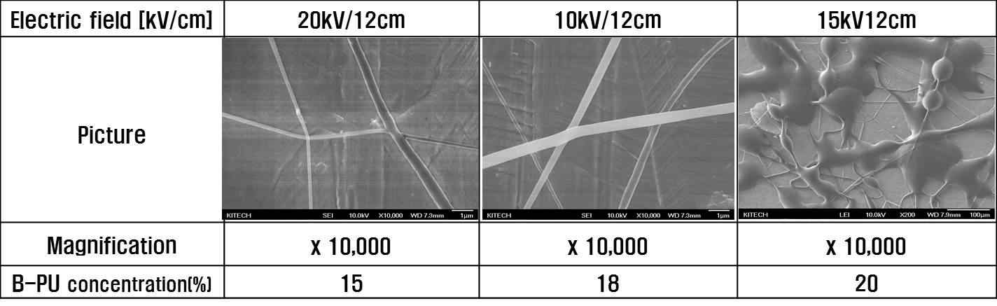 그림 7. FE-SEM images of electrospun biomass polyurethane nanofiber