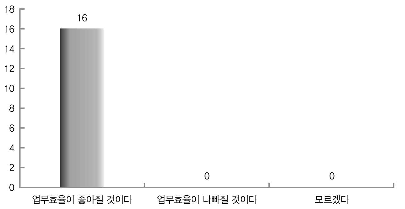 IT 활용이 업무효율에 주는 영향(전문가)