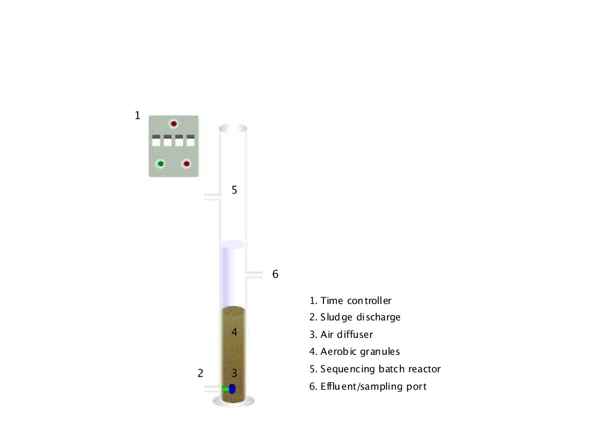 Aerobic granule SBR 반응조