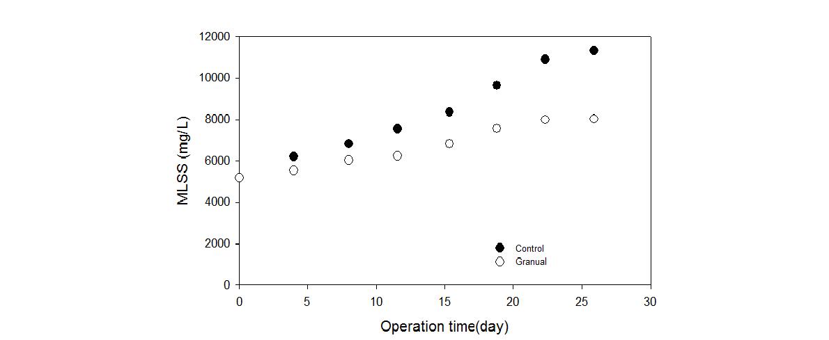 반응조 활성슬러지 농도 변화