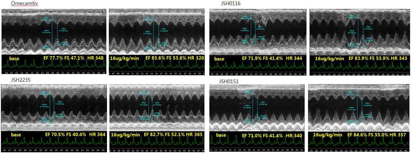 M-mode echocardiography를 사용한 심장기능의 변화 측정.