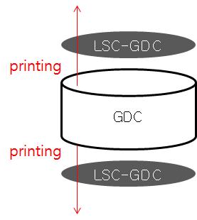 LSC-GDC 반전지 모식도