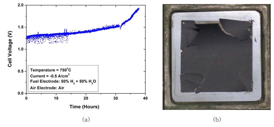 (a) Voltage of the cell with a LSM-based air electrode under SOEC operation at a constant current of -0.5 A cm-2 and (b) image of the surface of the cell after operation