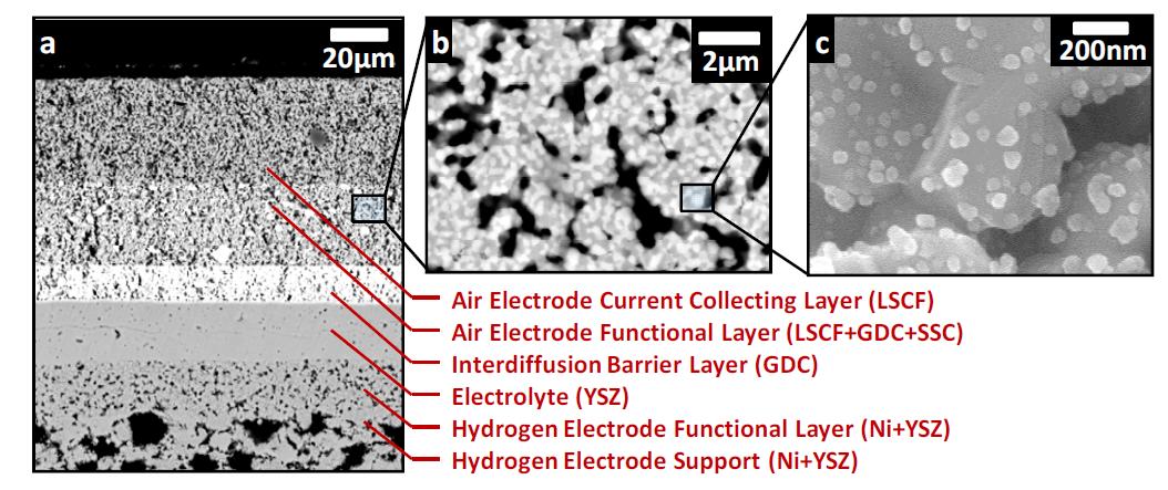 SEM images of (a) the cross-section of the SORFC, (b) porous LSCF-GDC air electrode functional layer and (c) SSC nano-catalysts infiltrated into the LSCF-GDC air electrode.