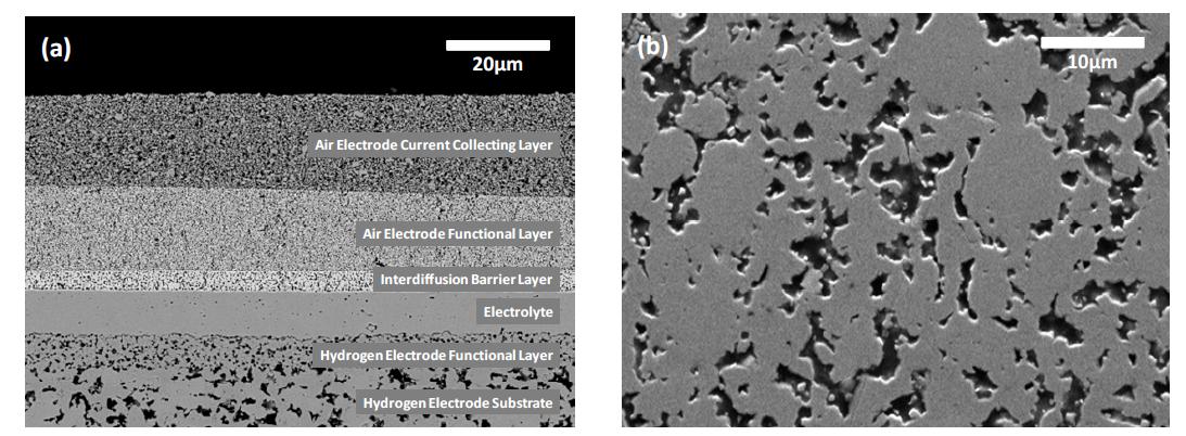 SEM images of (a) standard cell and (b) hydrogen electrode substrate.