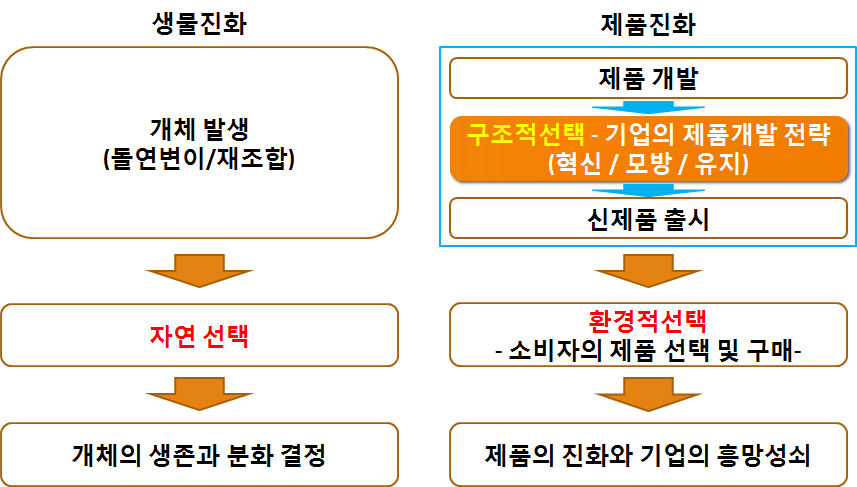 제품진화와 생물진화 프로세스의 비교