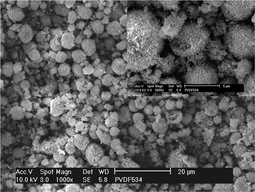 그림 2-1. SEM images of PVDF powder used in dispersion coating of PVDF/PMMA blend coatings