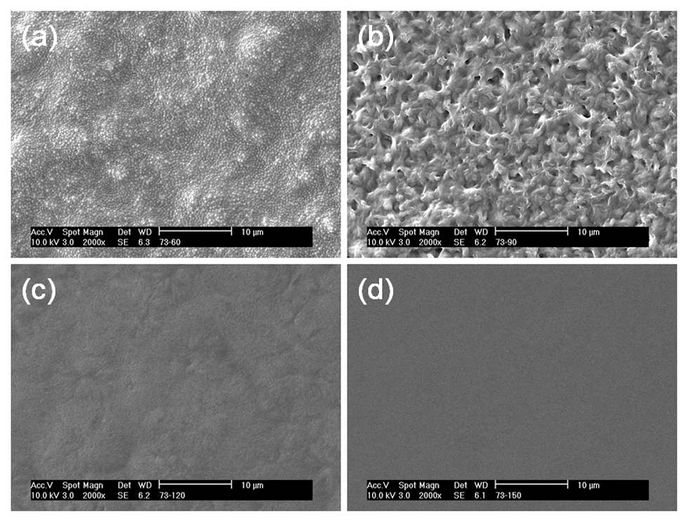 그림 2-2. Surface morphology of PVDF/PMMA blend coatings containing 70wt% PVDF prepared by dispersion coating at different coating temperature