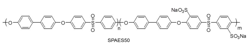 [그림 (3)-1] Sulfonated Poly(arylene ether sulfone) (SPAES50)의 구조