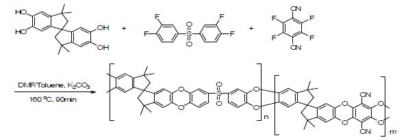 그림 9. Micropore를 갖는 poly(ethersulfone) 공중합체의 합성 경로
