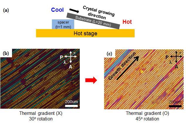 그림 54. (a) 열구배 조건을 형성하기 위한 실험 set-up (b, c) 열구배 조건에 따른 유기반도체 패턴의 편광현미경 결과