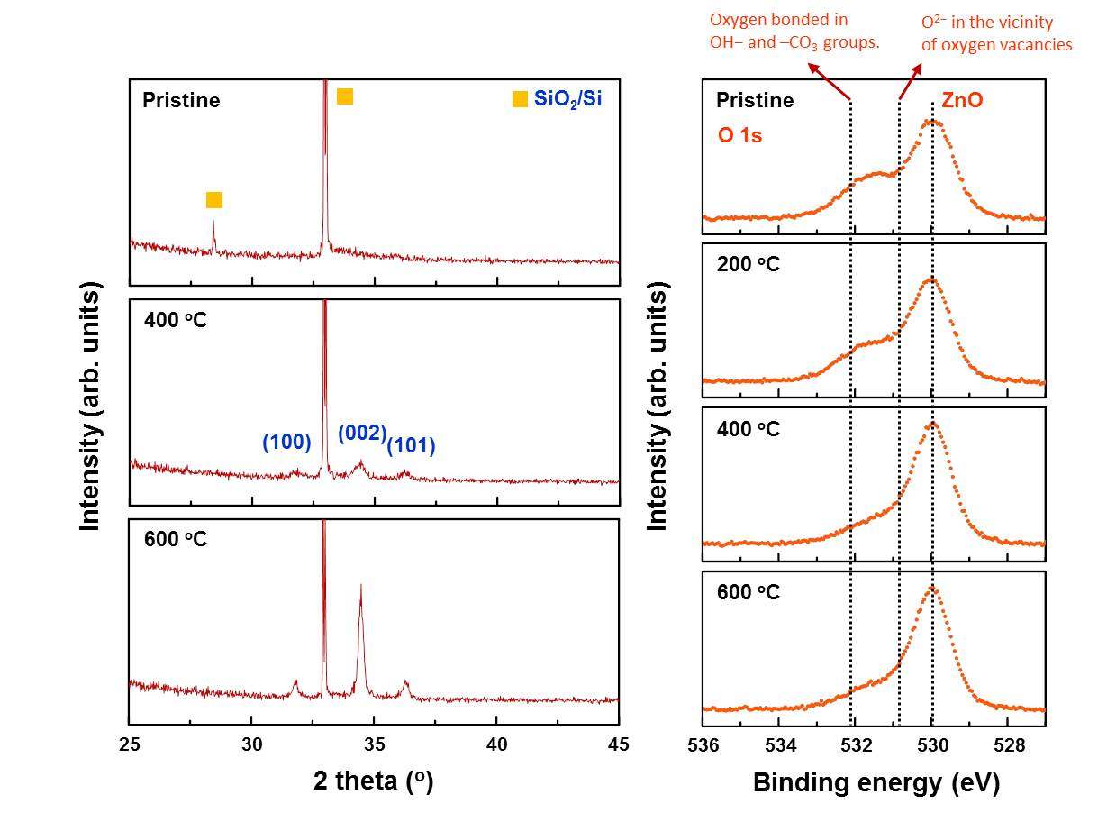 그림 15. 열처리 온도(0, 200, 400, 600℃)에 따른 산화아연 박막의 XRD와 XPS O 1s core level spectra.