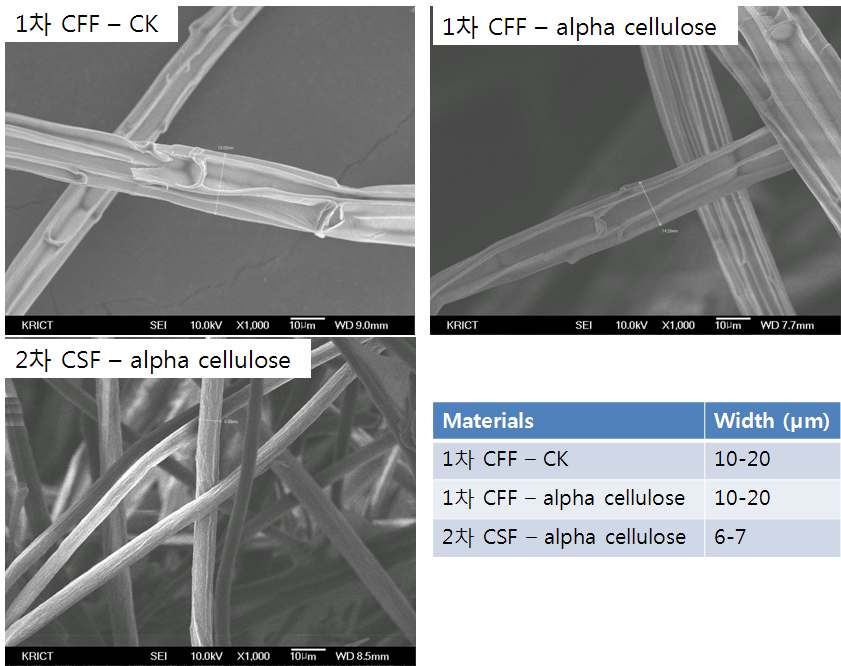 Fig. 6. Cattail fruit fiber의 형태적 특성