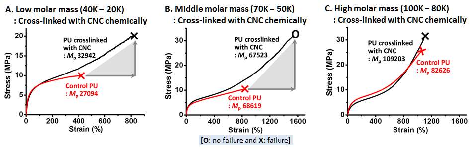 Fig. 43. 폴리우레탄의 분자량에 따른 NCC/폴리우레탄 기계적 특성 평가.