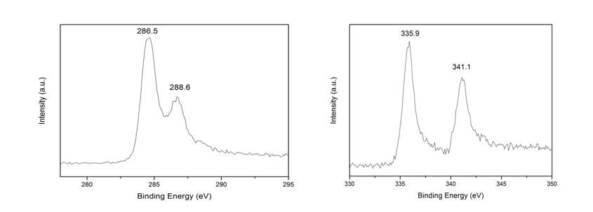 그림 4. 그래핀 옥사이드에 팔라듐이 부착된 GO@Pd의 XPS spectra. 왼쪽은 C 1s, 오른 쪽은 Pd 3d에 대한 XPS spectra이다