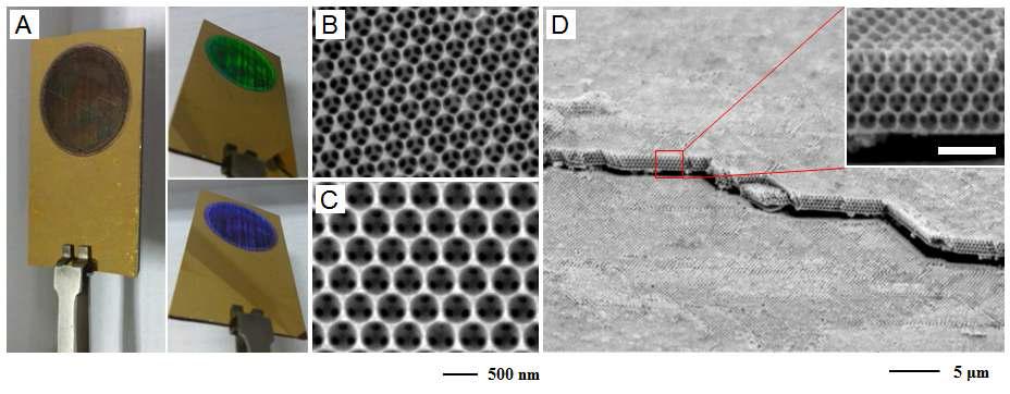(A) 삼차원 다공성 니켈 구조체가 기판위에 형성된 사진과 SEM 이미지들: top-view (B) 370 nm-PS, (C) 450 nm-PS, (D) tilted-view 370 nm-PS. Scale bar (inset): 1 μm.