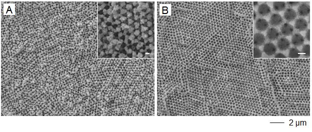 삼차원 다공성 니켈구조체를 (A) 금, (B) 팔라듐 으로 갈바닉 치환 후의 SEM 이미지. Inset 은 확대된 이미지. Scale bar: (inset) 2 nm.