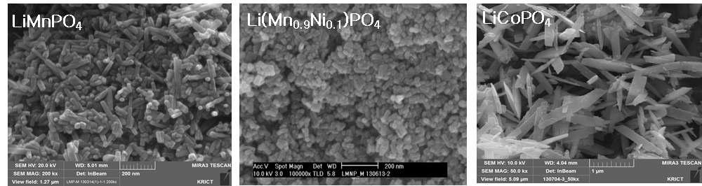 LiMnPO4 및 Ni, Co를 도입한 양극재의 FE-SEM 사진