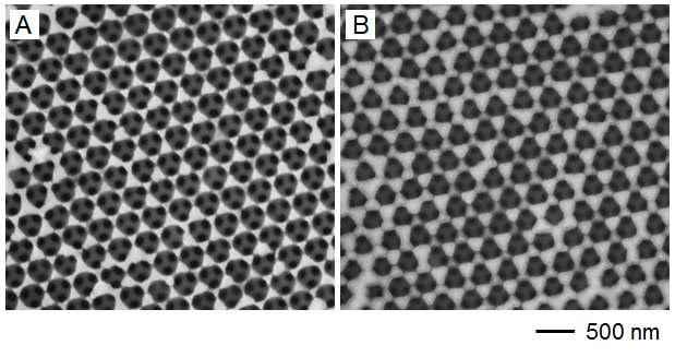 (A) 삼차원 다공성 니켈 나노구조체와 (B) 니켈 나노구조체 표면에 실리콘 박막 전기도금 후의 SEM 이미지.